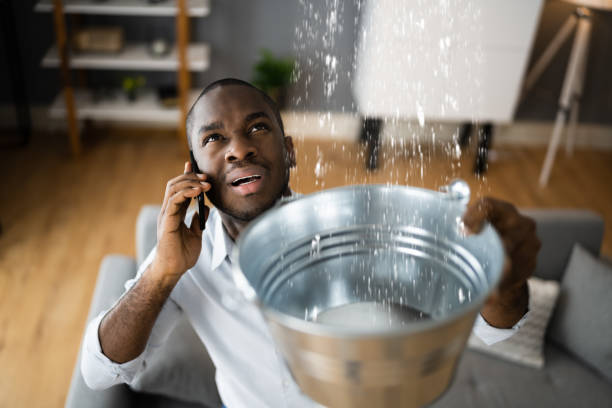 Best Water damage cleanup near me  in Holt, MI