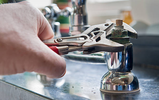 Best Sewage cleanup and water damage restoration  in Holt, MI