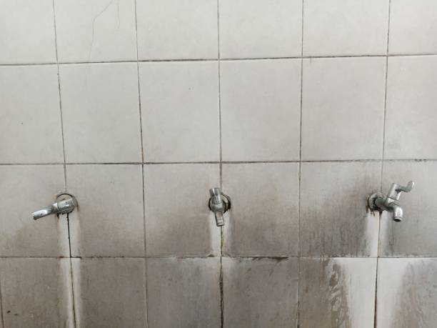 Best Emergency water damage restoration  in Holt, MI